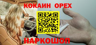 гашик Гай