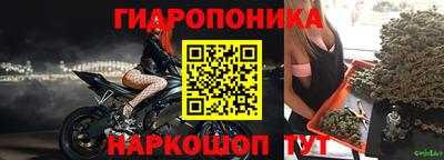 стафф Берёзовский