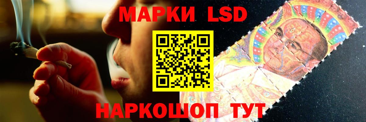 Псилоцибиновые грибы Советская Гавань