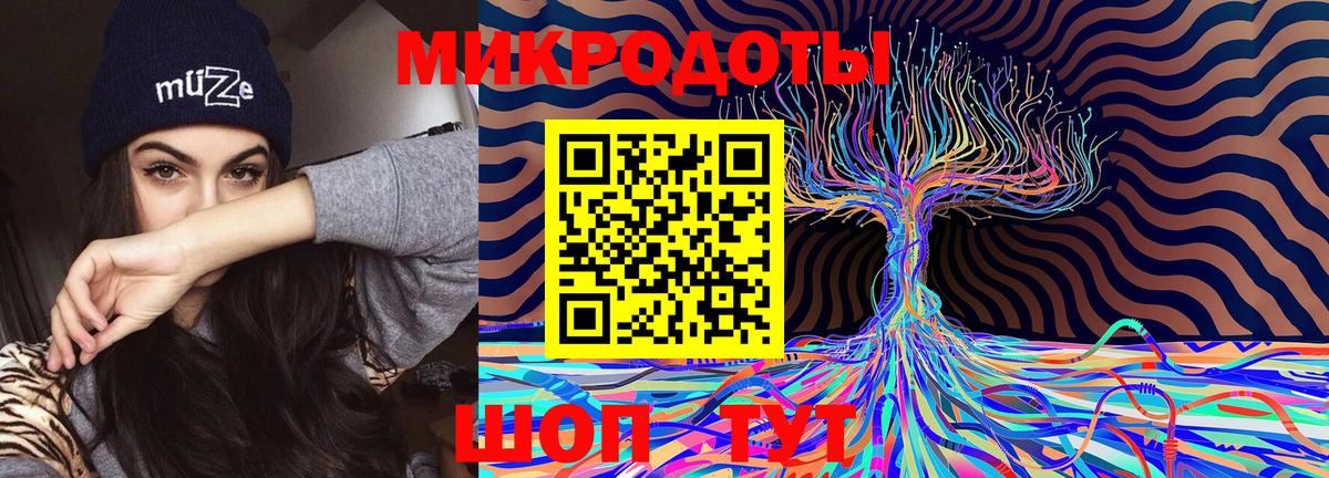 Псилоцибиновые грибы Psilocybe  Вход с VPN  Советская Гавань  Псилоцибиновые грибы мицелий 
