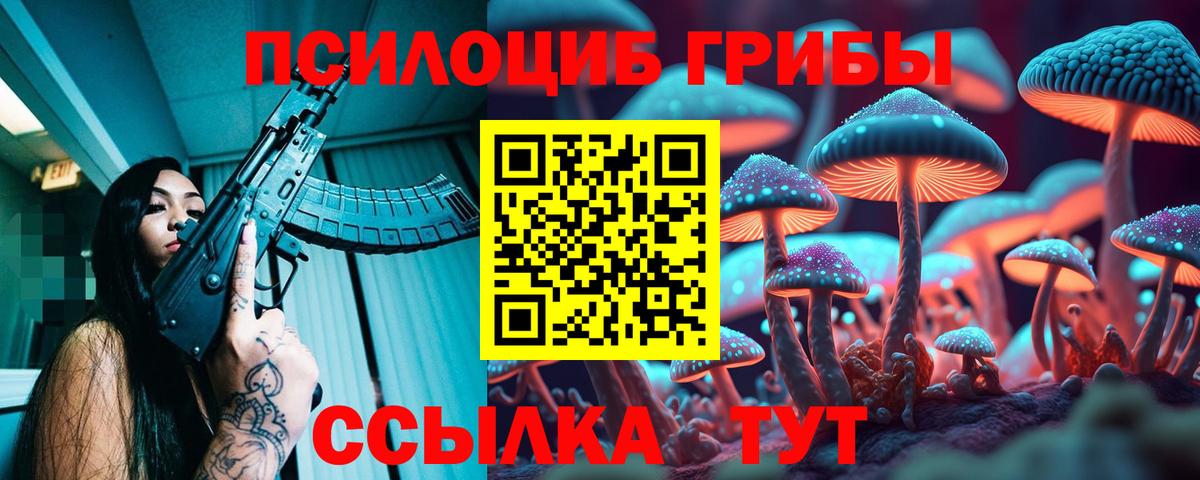 Галлюциногенные грибы Psilocybe Советская Гавань