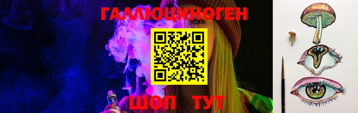 Галлюциногенные грибы Psilocybine cubensis Советская Гавань